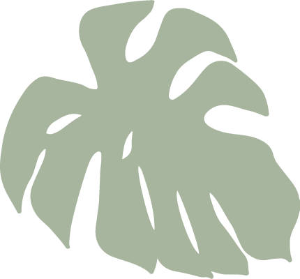 vector