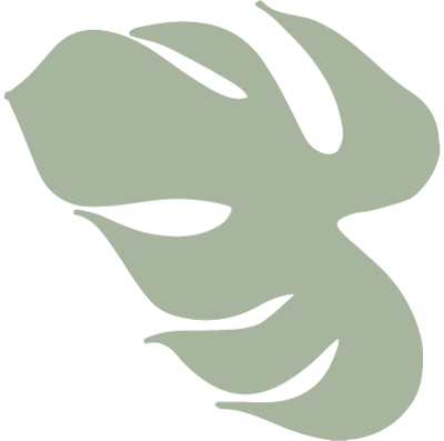 vector