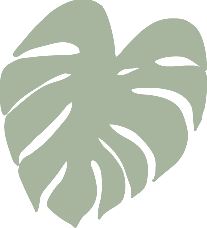 vector